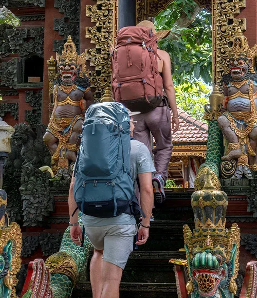 Travel Backpacks