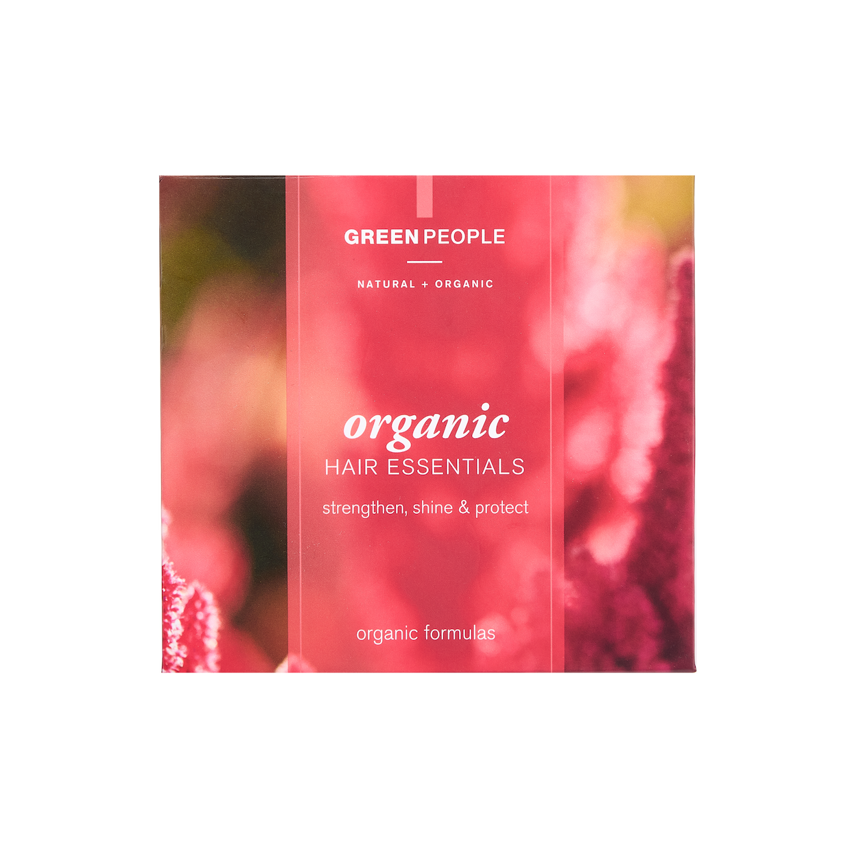 Organic Hair Essentials Kit