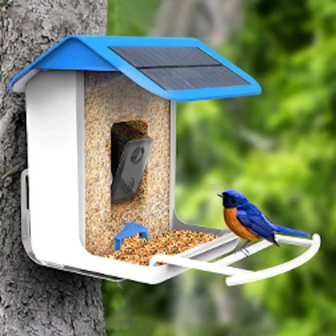 Bneta Smart Pet AI Bird Feeder