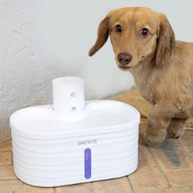Bneta Cordless Automated Pet Water Fountain, 2.5L