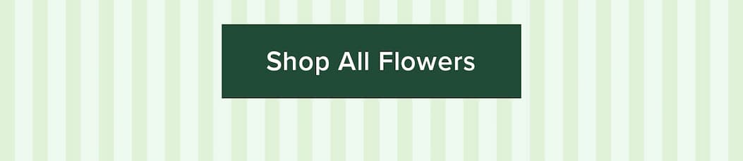 Shop All Flowers