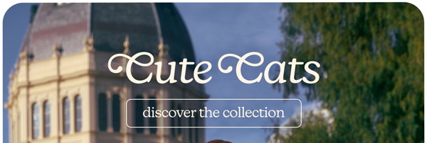 Cute Cats discover the collection