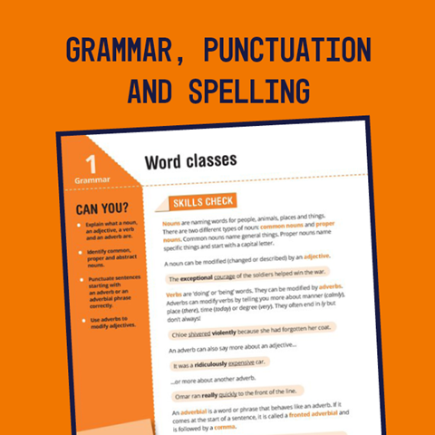 Grammar, punctuation and spelling