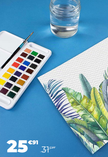 Aquarelle fine Boîte de voyage Aquafine 24 demi godets - Daler Rowney