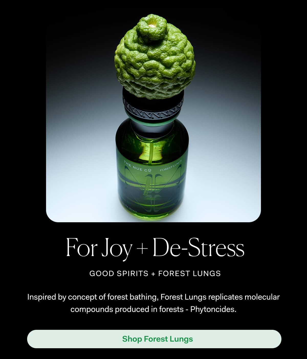 For Joy + De-Stress good spirits + forest lungs | For Joy + De-Stress good spirits + forest lungs | Shop Forest Lungs