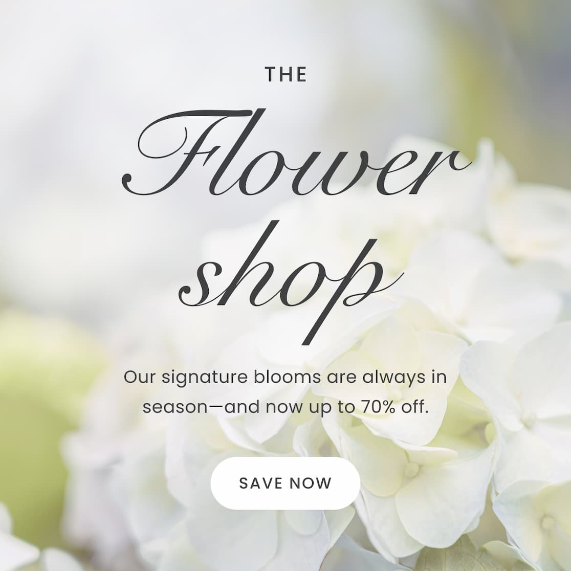 Inside the Flower Shop