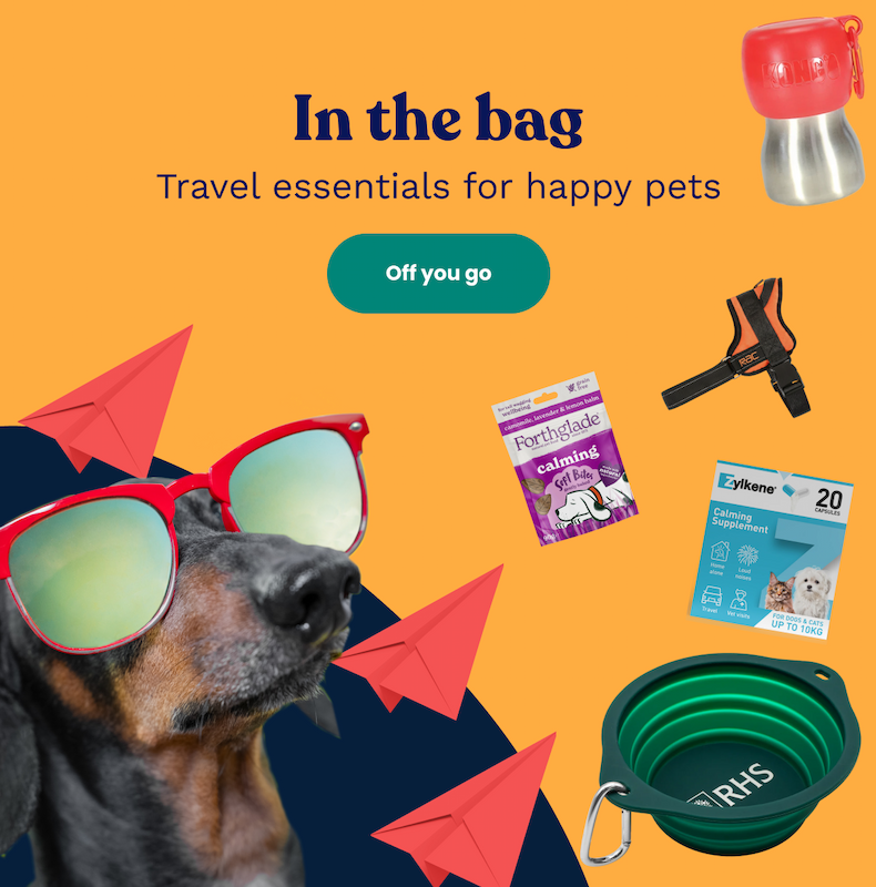 In the bag