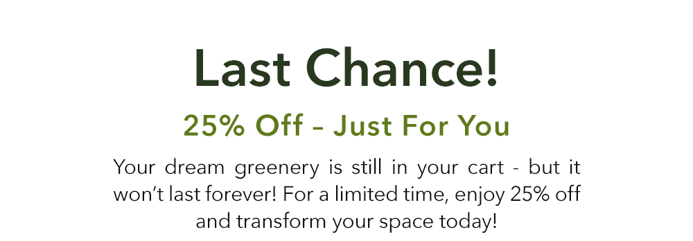 Last Chance! 25% Off - Just For You