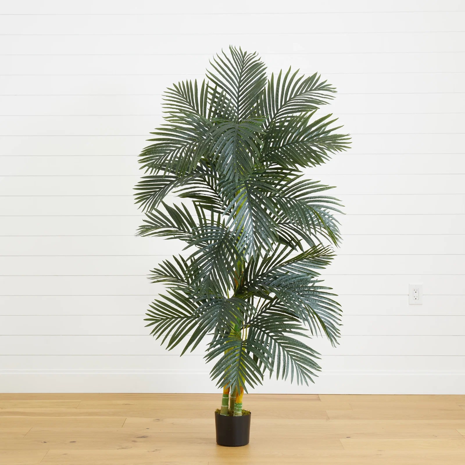 Image of 6.5' Golden Cane Artificial Palm Tree
