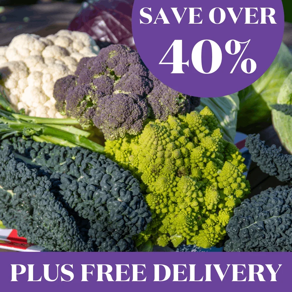 Buy 2 & Save 20% on Pre-Rooted Onions and Garlic