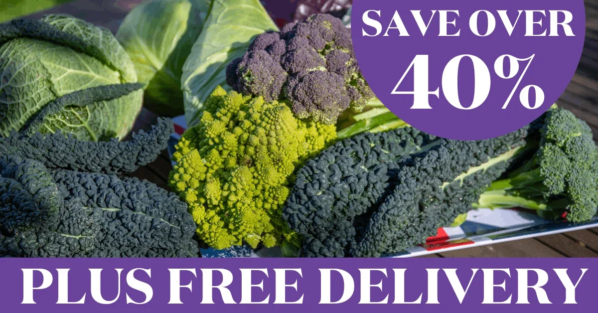 Buy 2 & Save 20% on Pre-Rooted Onions and Garlic