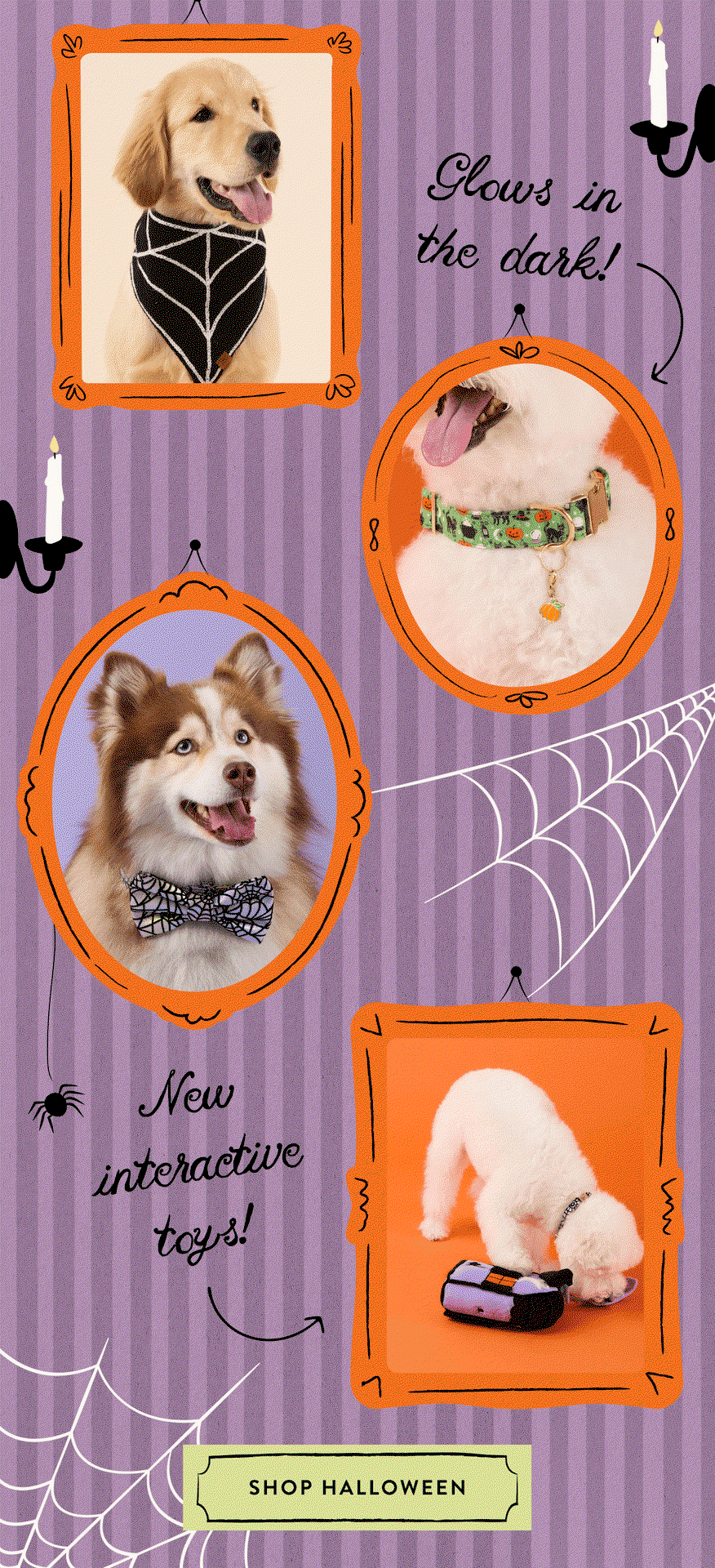 Shop Halloween