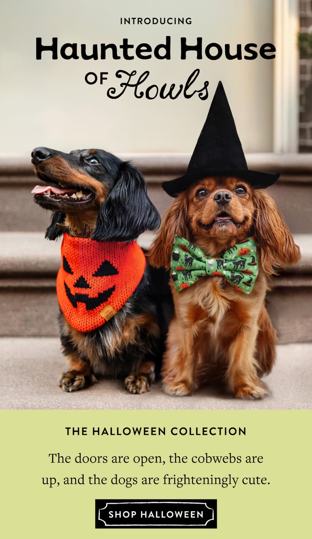Shop Halloween