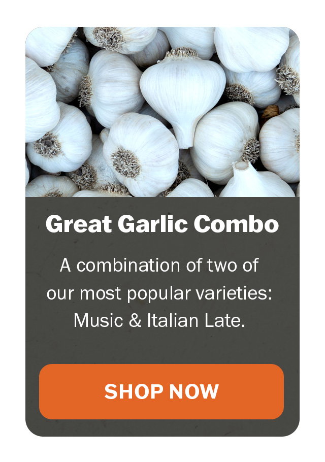 Great Garlic Combo