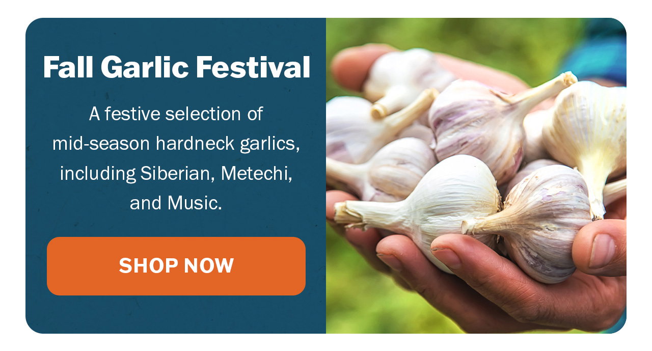 Fall Garlic Festival