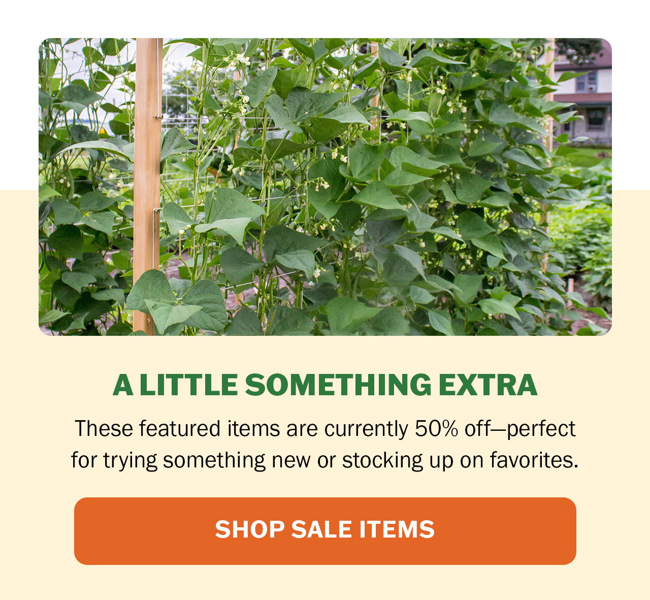 Shop our seed sale
