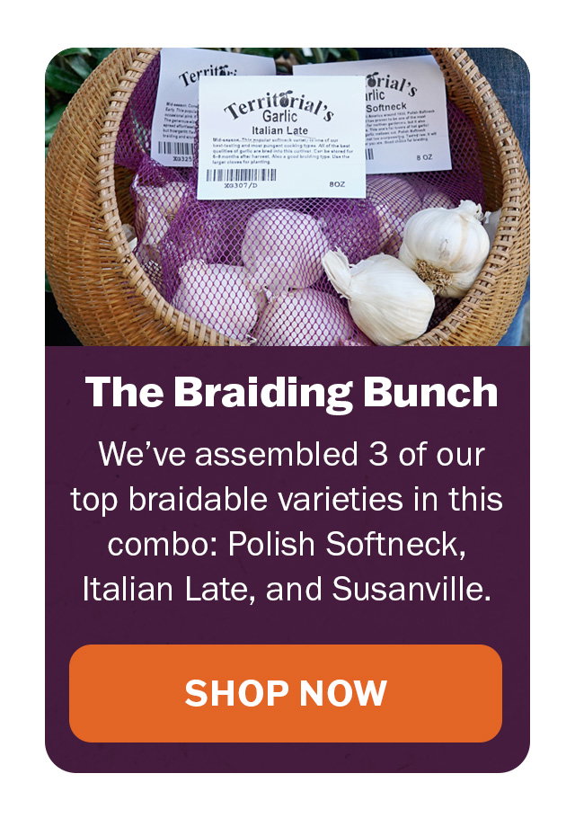 The Braiding Bunch