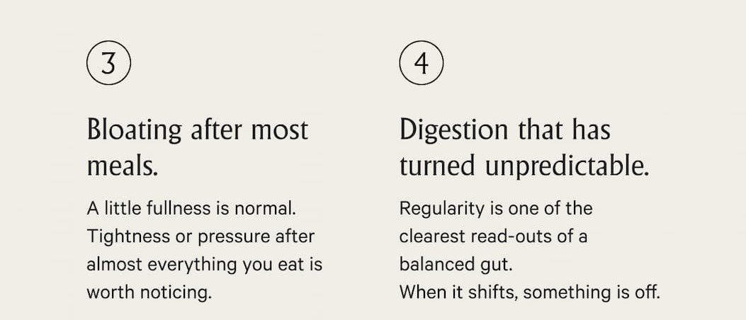 bloating after meals? work on your digestion