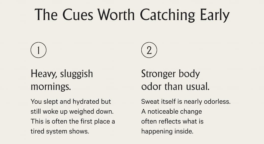 the cues worth catching early - sluggish? body odor?