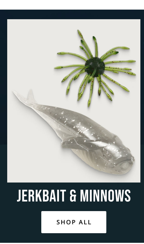 Marine Electronics