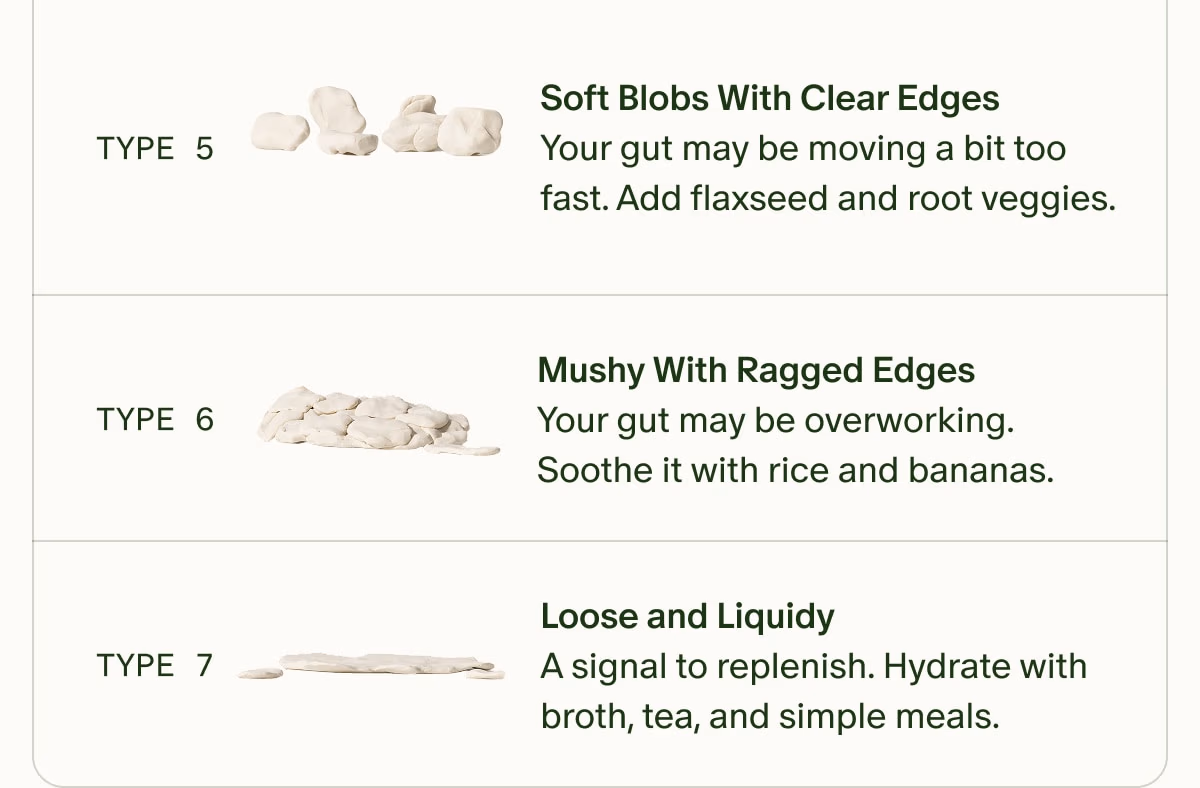 TYPE 5 | Soft Blobs With Clear Edges | Your gut may be moving a bit too fast. Add flaxseed and root veggies. | TYPE 6 | Mushy With Ragged Edges | Your gut may be overworking. Soothe it with rice and bananas. | TYPE 7 | Loose and Liquidy | A signal to replenish. Hydrate with broth, tea, and simple meals.
