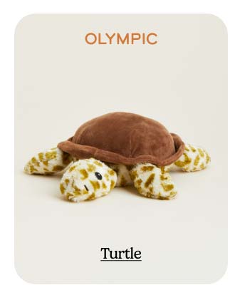 Shop Turtle
