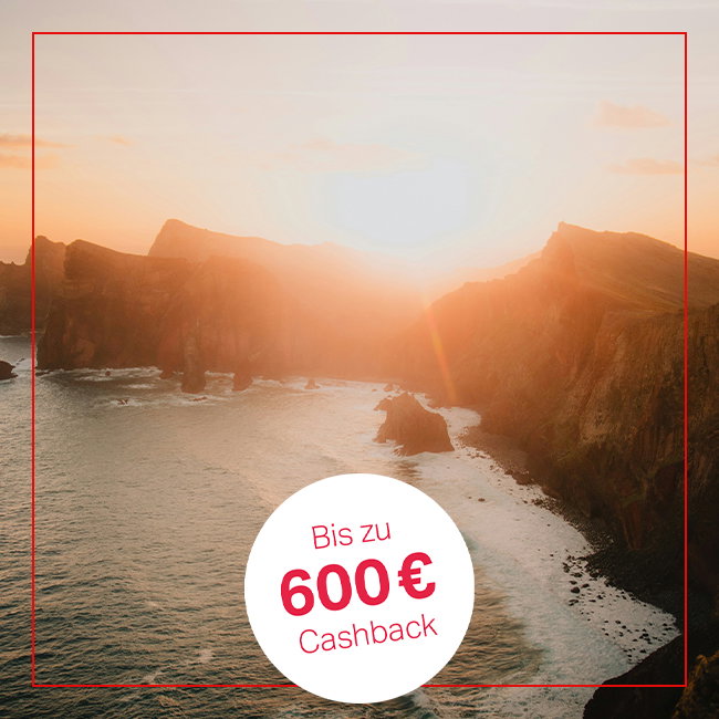 Sony Sommer-Cashback