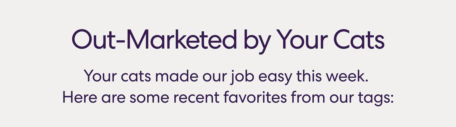 Out-Marketed by Your Cats Your cats made our job easy this week. Here are some recent favorites from our tags:
