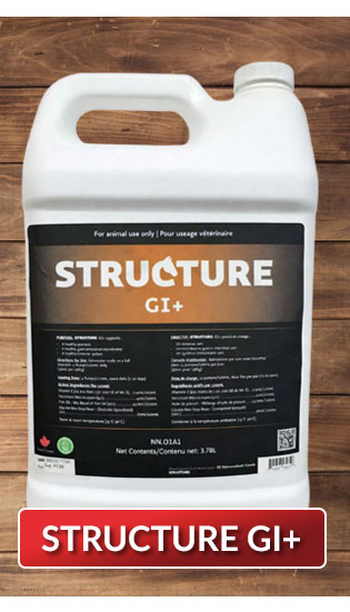 Structure equine supplements