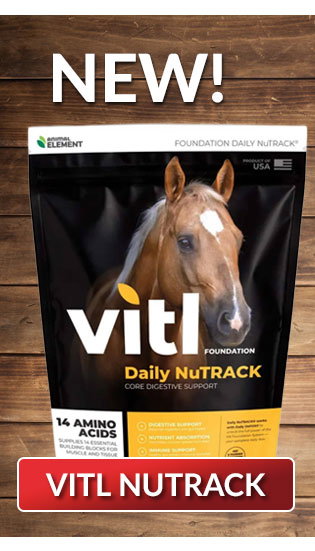 Vitl supplements