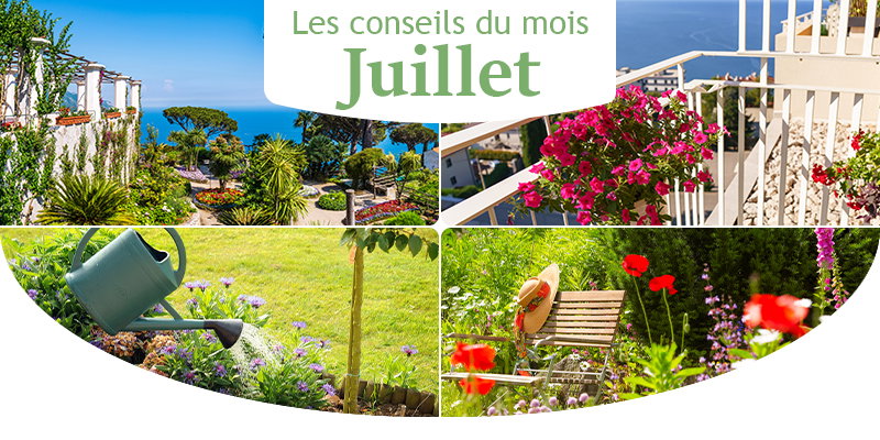 Les conseils du mois pour juillet!