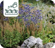Jardin sans arrosage