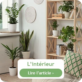 Que faire à l'intérieur en juillet ?