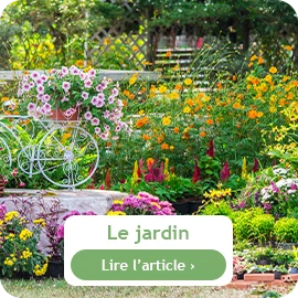 Que faire au jardin en juillet ?