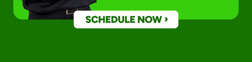 Schedule Now >