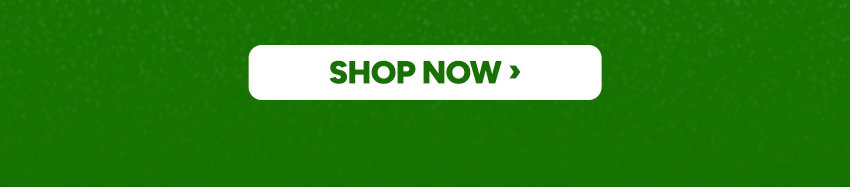 shop now >