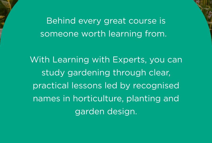 Behind every great course is someone worth learning from.