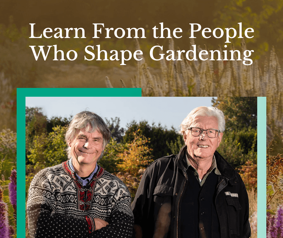 Learn From the People Who Shape Gardening