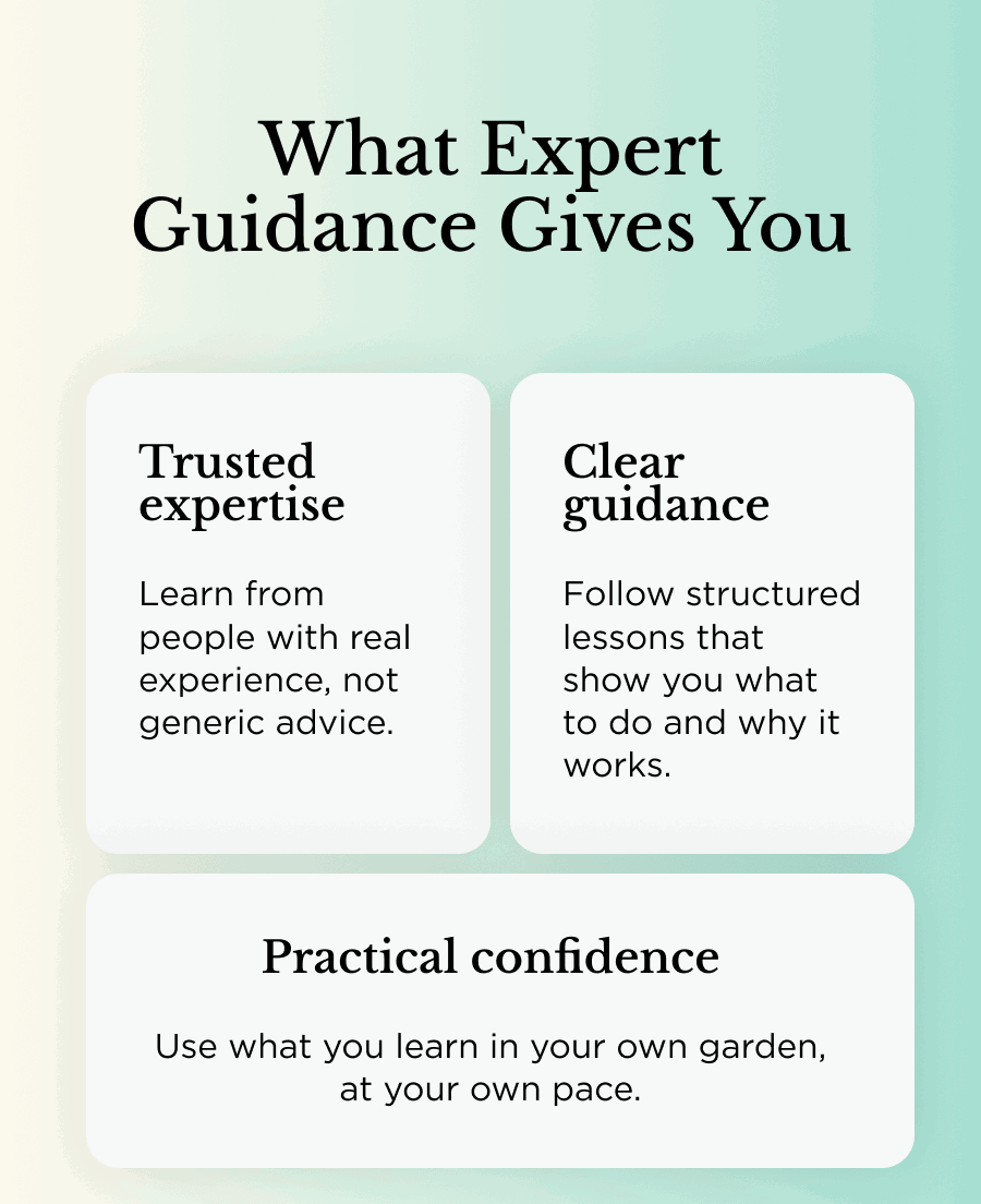 What experts guidance gives you