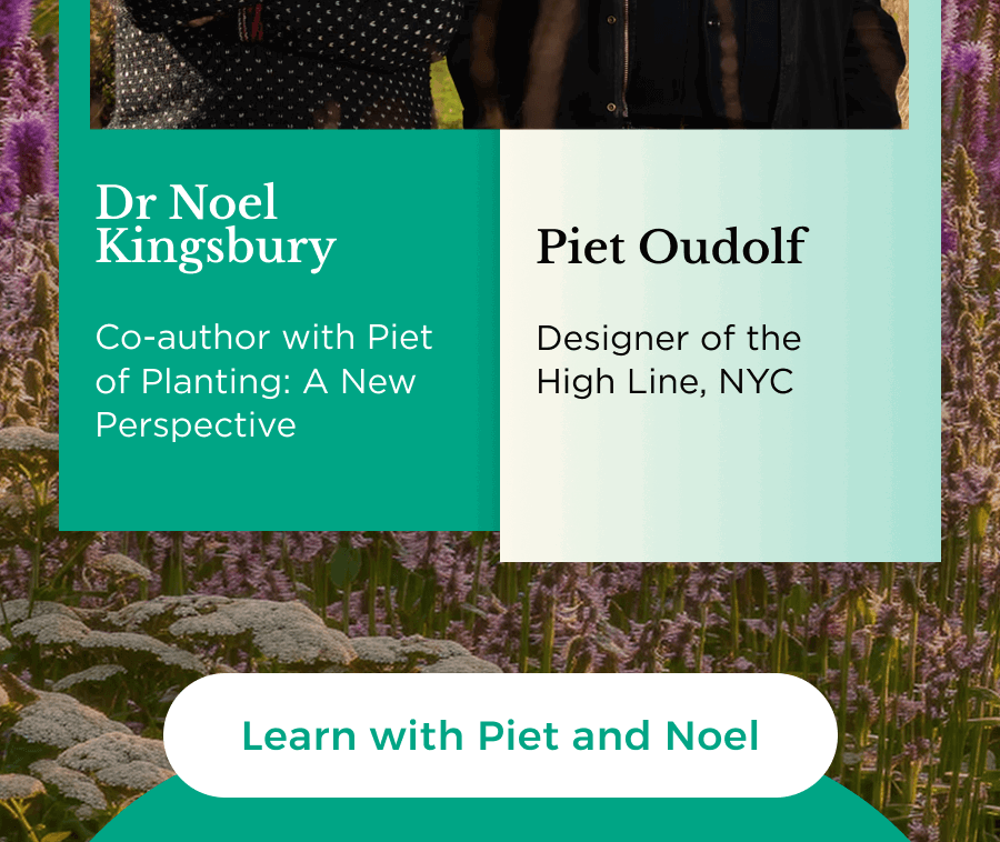 Learn with Piet and Noel