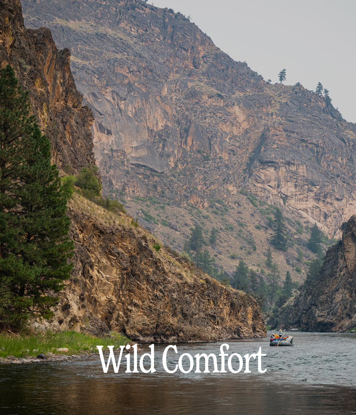 Wild Comfort