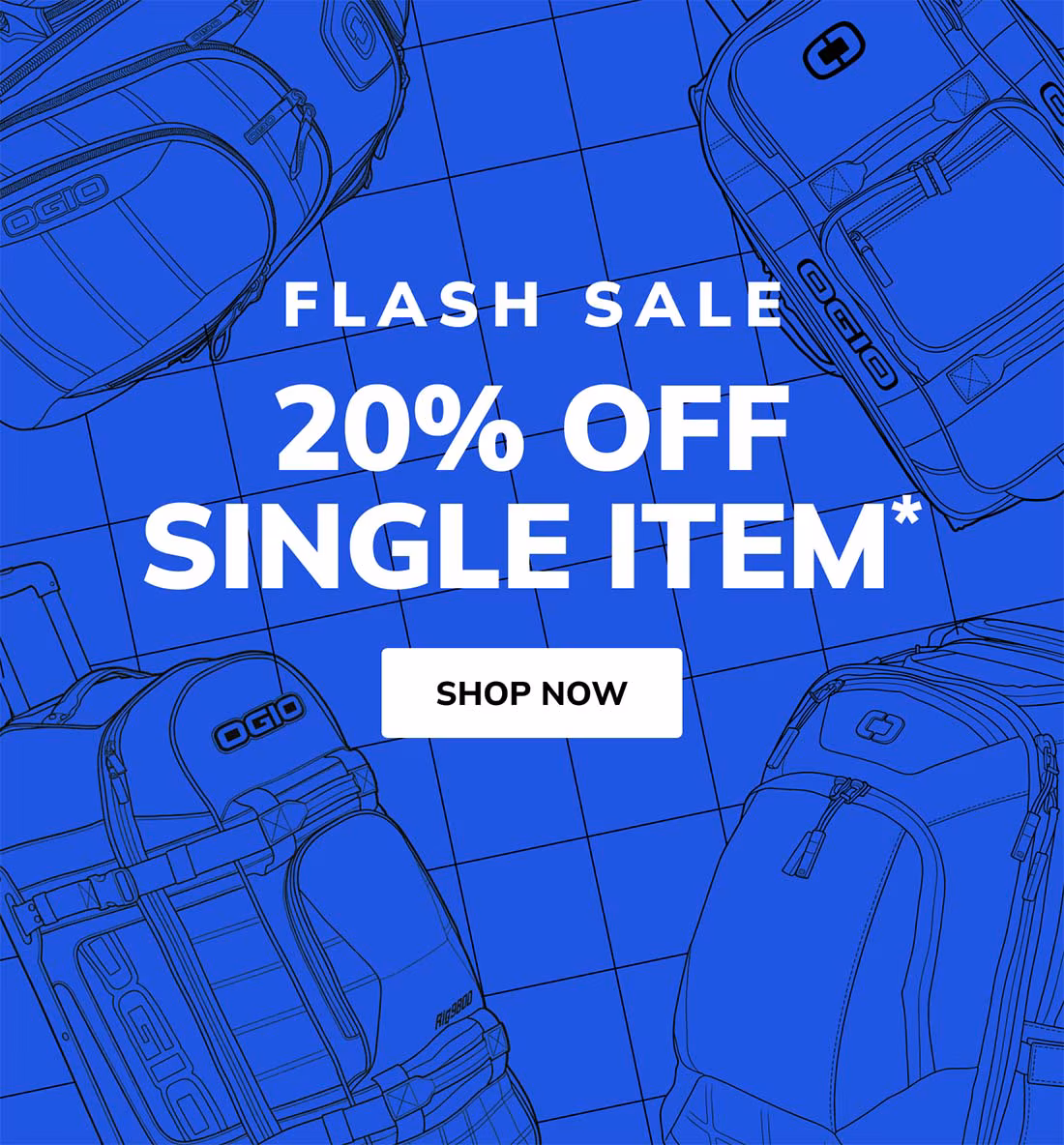 Flash Sale: 20% Off Single Item