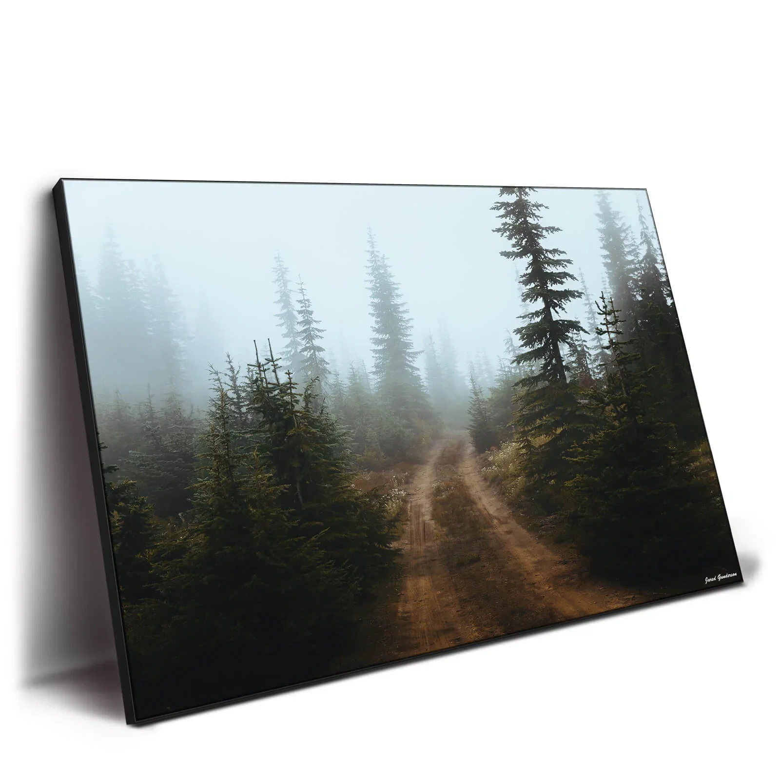 Image of Backroad Adventures