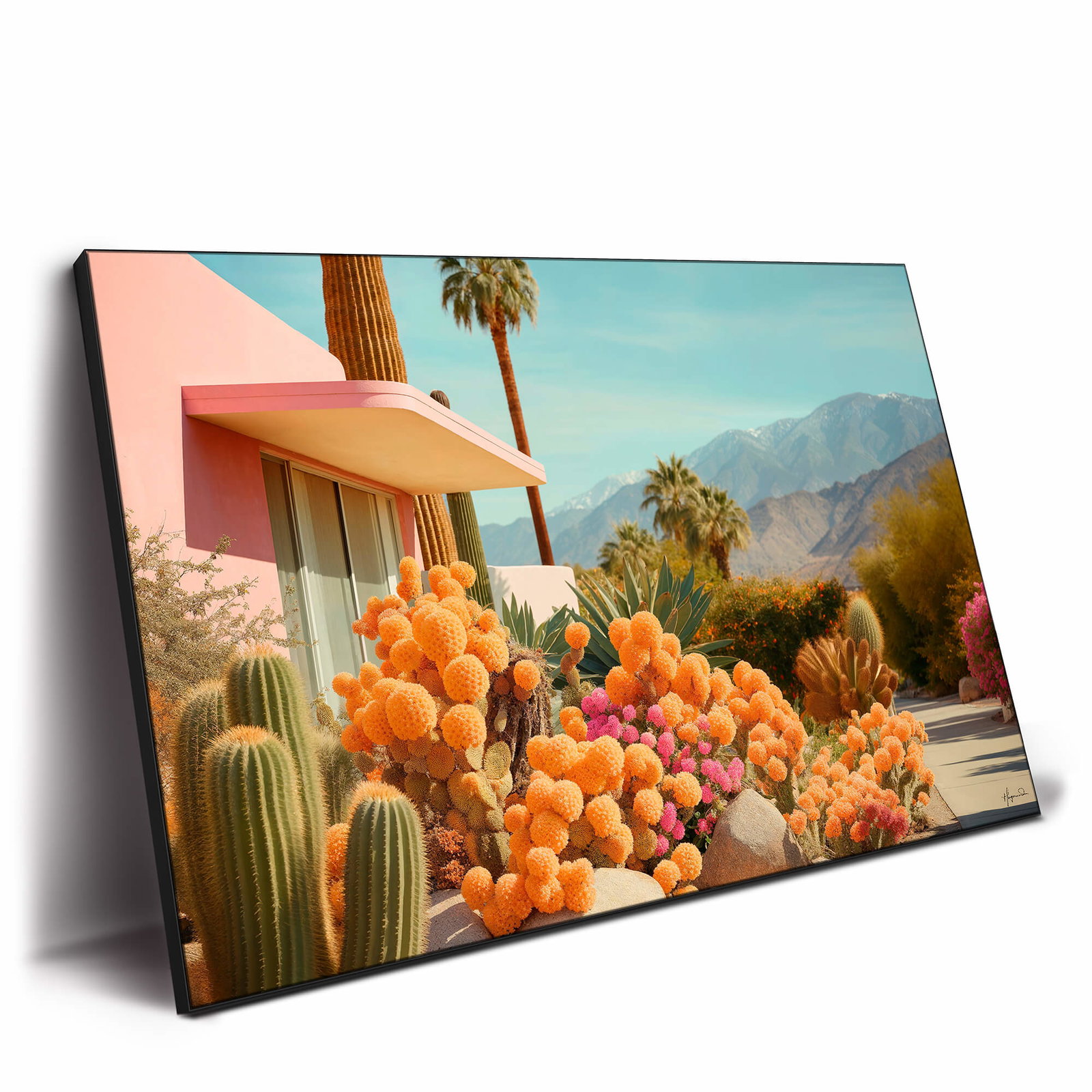 Image of Cactusland II