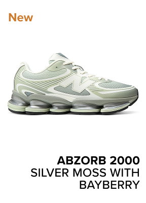abzorb 2000 SILVER MOSS WITH BAYBERRY