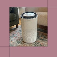 This Editor-Approved Air Purifier Tackles Wildfire Smoke, Mold, & Dust