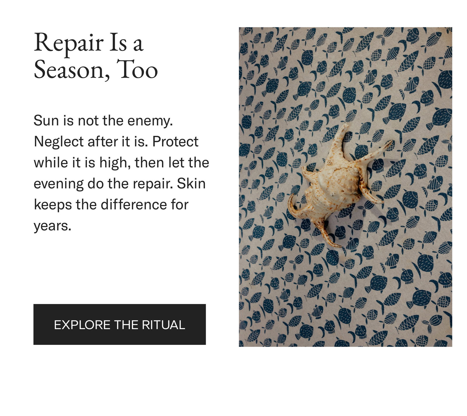 Repair is a season, too. Protect while the sun is high, repair once it sets. Explore the ritual.