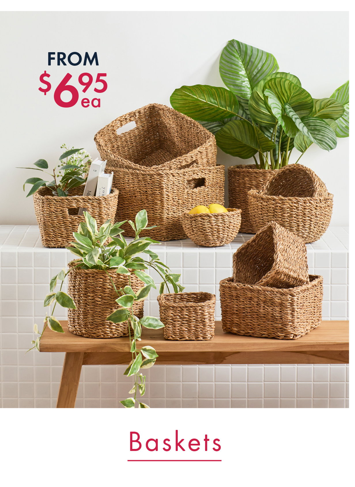 Baskets from $6.95 ea
