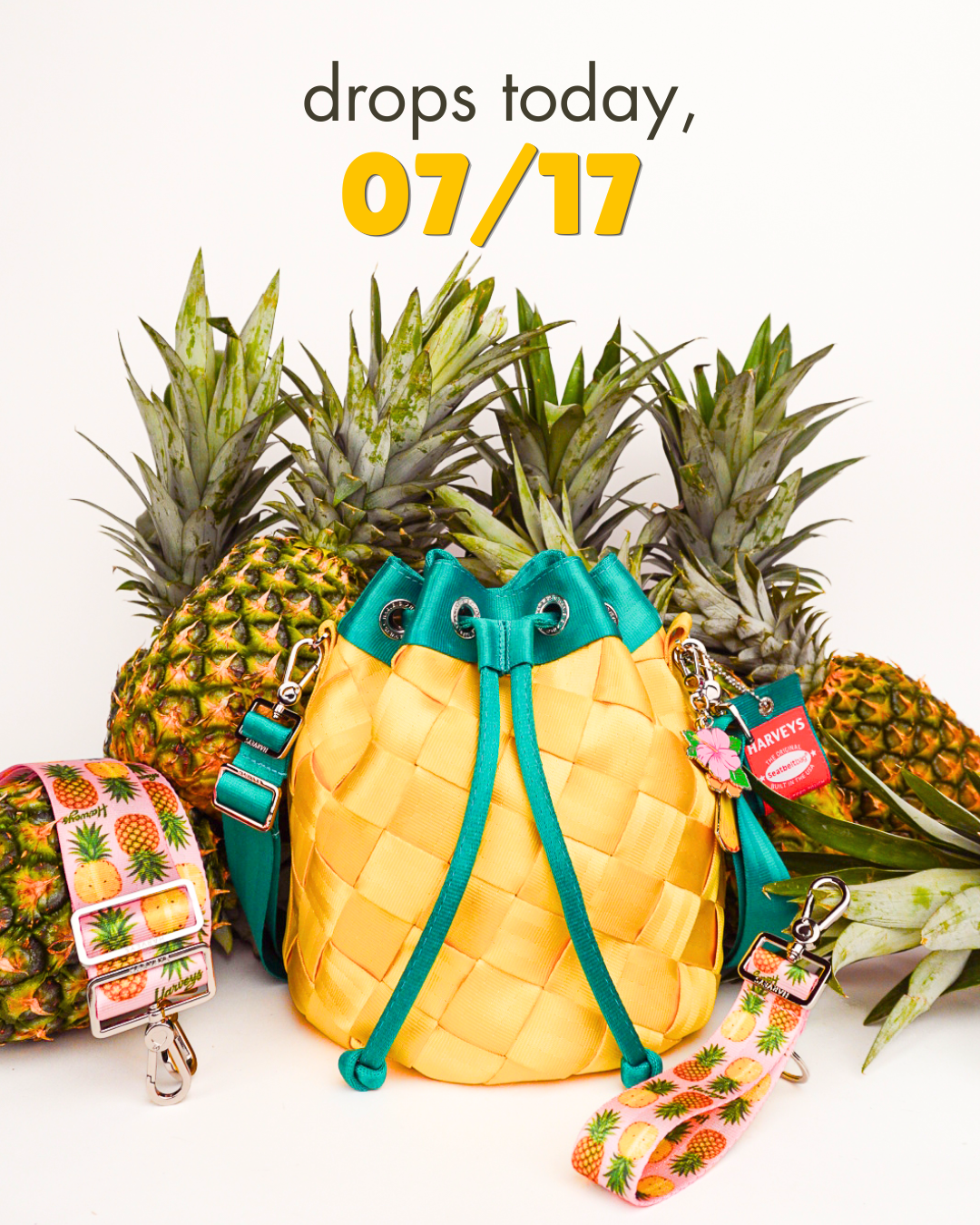Pineapple Park Hopper + accessories