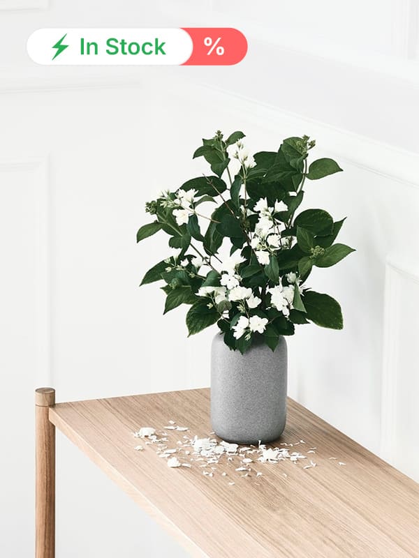 Archiproducts